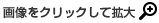 画像をクリックして拡大