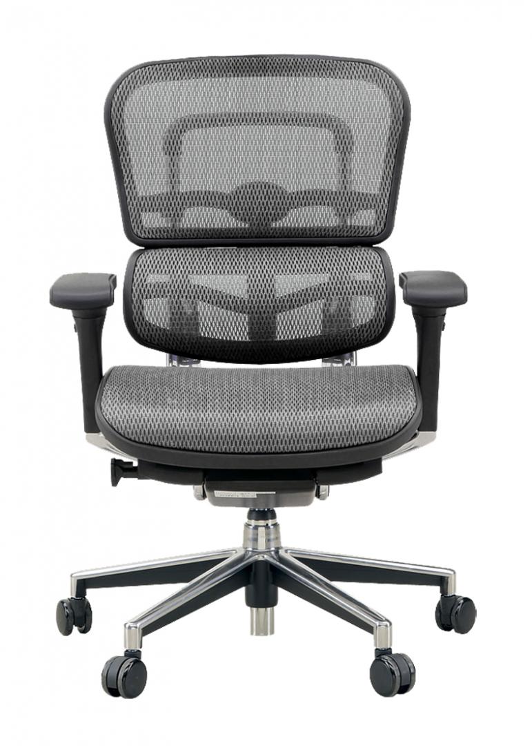 売れてます！　大きなランバーサポート　高機能メッシュチェア【事務用品】
                        ベーシック チェア 
                                    新品
            