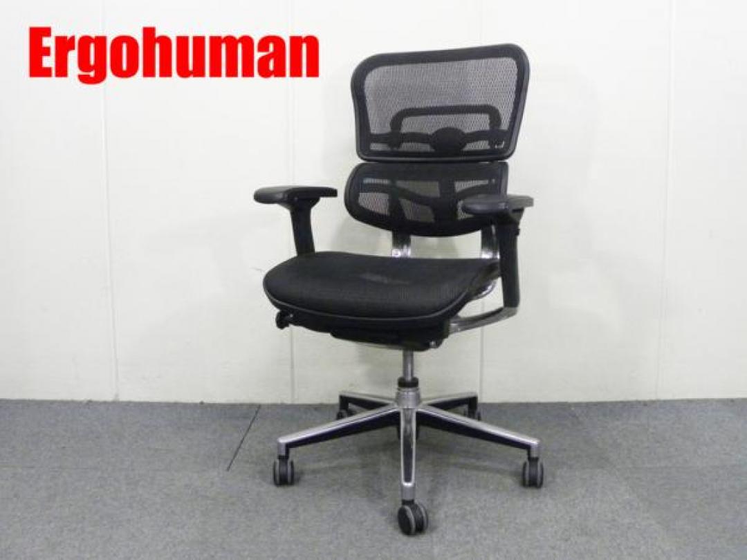 Erugohuman/エルゴヒューマン（ベーシック）【Dchair】
                        ベーシック チェア 
                                    中古
            