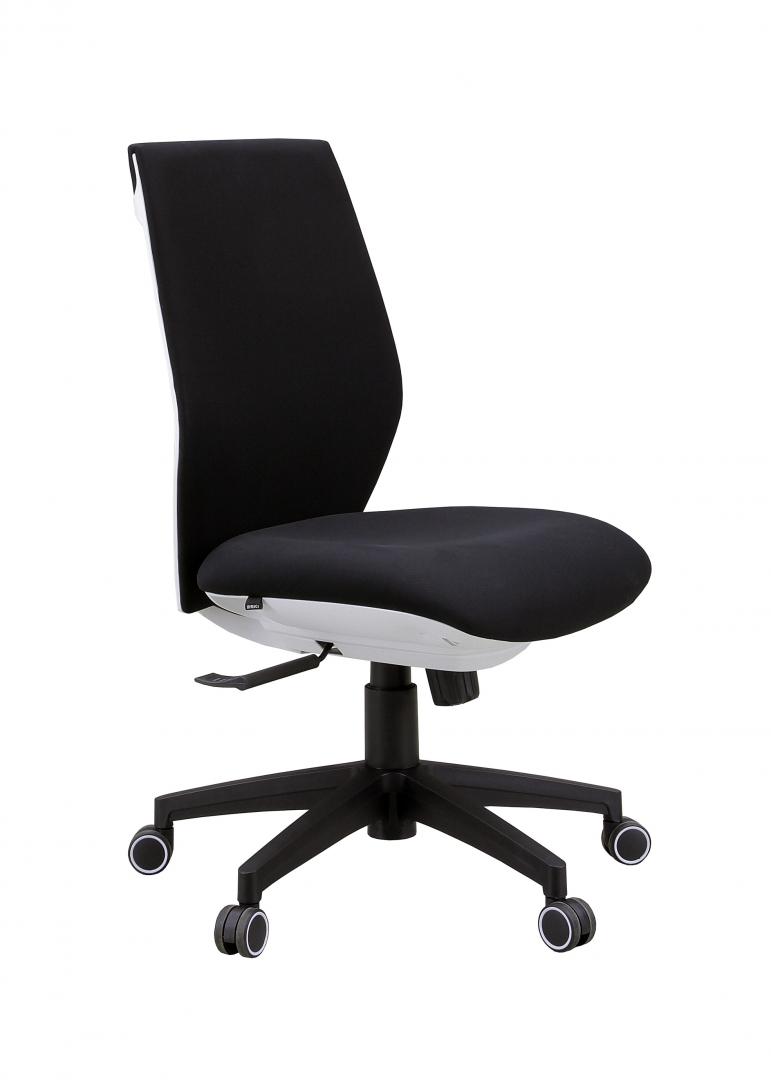 ホワイト基調　明るいカラーリングの肘なしワークチェア　王道的な野心作！
                        ルーカス
                                    新品
            