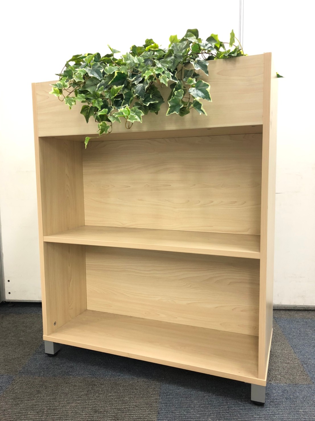 【珍しい商品が登場】フラワーボックスでオフィスが華やかに/フェイクグリーン/カタログスタンド
                        その他シリーズ
                                    中古
            