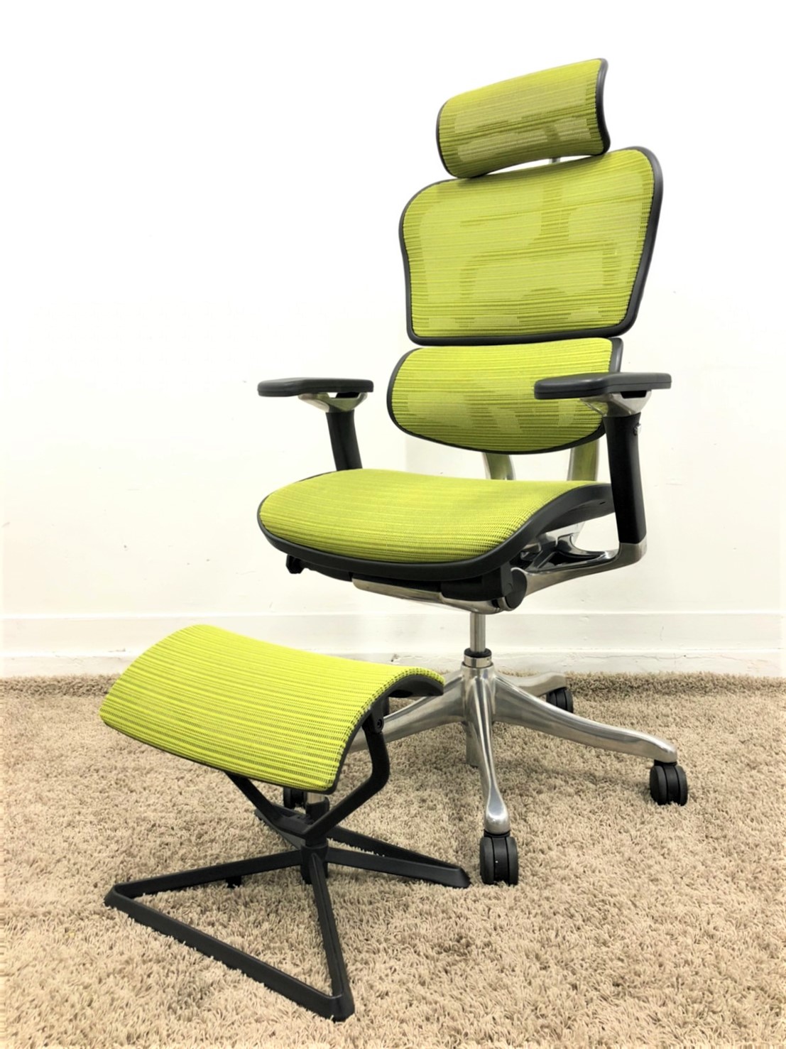 【KS】限定1脚早い者勝ち！エルゴヒューマン　オットマン付　在宅　自宅　テレワーク　腰痛　おすすめ
                        エルゴヒューマン
                                    中古
            