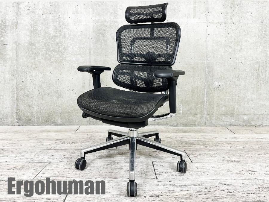 Ergohuman/ エルゴヒューマン　ベーシック 　ヘッドレスト付　メッシュ 　黒
                        ベーシック
                                    中古
            