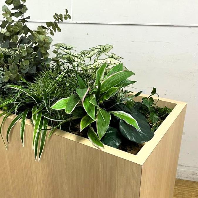 Cane-line Flower Box Planter Square / ケインライン フラワー