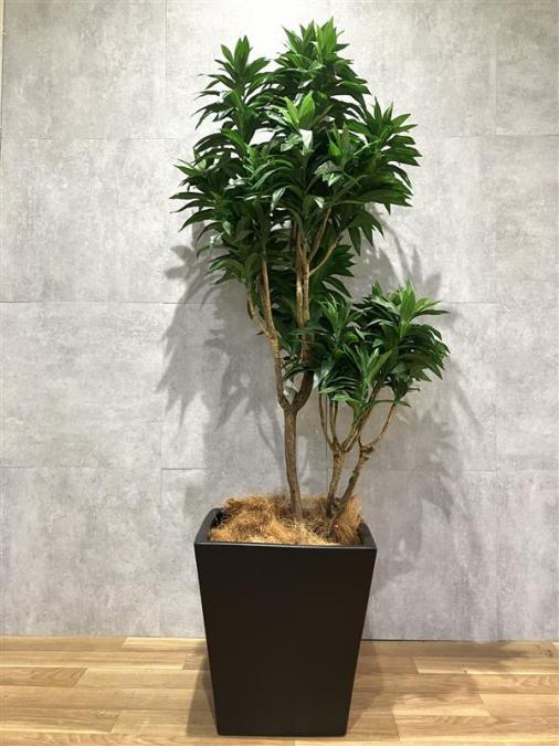 フェイクグリーン　GREENCOFFRET【福岡オフィス家具】【福岡中古家具】【中古事務什器】【中古チェア】【中古椅子】
                        その他
                                    中古
            