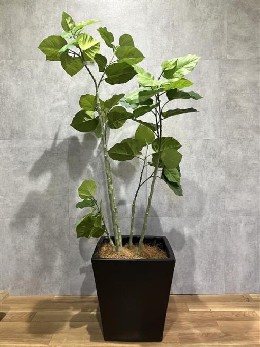 【西】フェイクグリーン　MAGIQ【福岡オフィス家具】【福岡中古家具】【中古事務什器】【中古チェア】【中古椅子】
                        その他
                                    中古
            