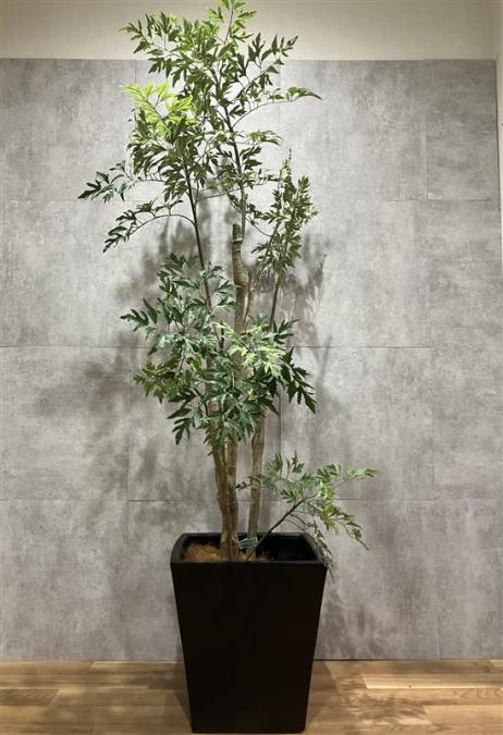 【西】フェイクグリーン　MAGIQ　【福岡オフィス家具】【福岡中古家具】【中古事務什器】【中古チェア】【中古椅子】
                        その他
                                    中古
            