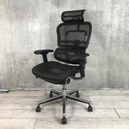 【集中とリラックスを高水準で実現した一脚！多彩な調整機能搭載！デスクワークが捗ります！】■エルゴヒューマン製　ベーシック　肘付ハイバック　メッシュ仕様　■可動肘　■ヘッドレスト/ランバー付　■ブラック