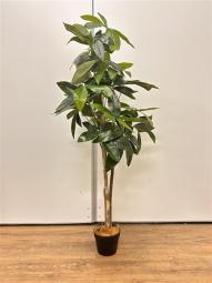 【1台限定】観葉植物　フェイクグリーン　オフィスバスターズ　梅田本店
