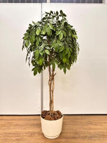 【中古】その他シリーズ  その他メーカー オフィスアクセサリーその他