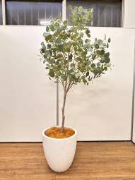 【1台限定】観葉植物　フェイクグリーン　オフィスバスターズ　梅田本店