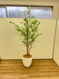 【1台限定】観葉植物　フェイクグリーン　オフィスバスターズ　梅田本店