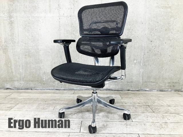 Ergohuman（エルゴヒューマン） プロ(Pro Chair) 一覧 - 中古