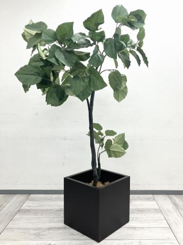 【中古】その他シリーズ  その他メーカー フラワーボックス