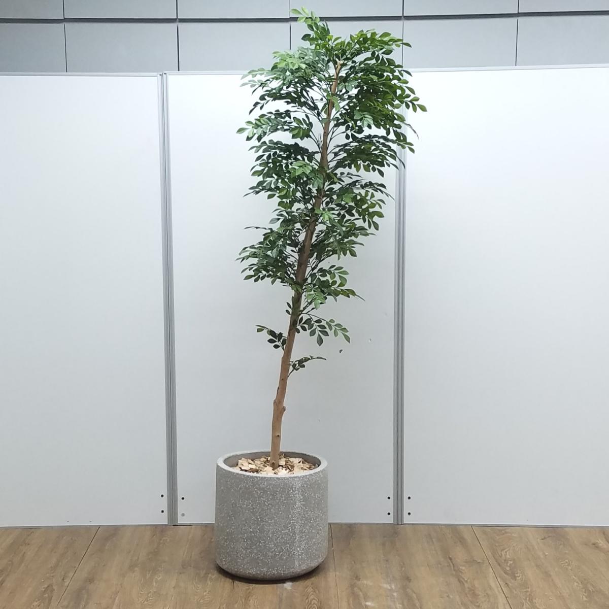 中古】 オフィスアクセサリーその他 571577 - 中古オフィス家具なら
