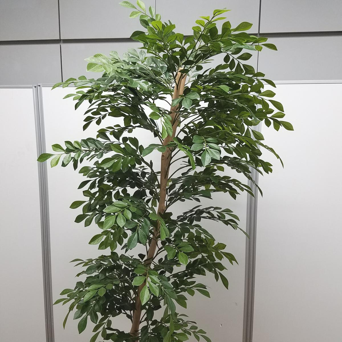 中古】 オフィスアクセサリーその他 571577 - 中古オフィス家具なら