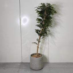 【エントランスやリフレッシュスペースに！オフィスに彩りとリラックス感を演出します！】■観葉植物　フェイクグリーン