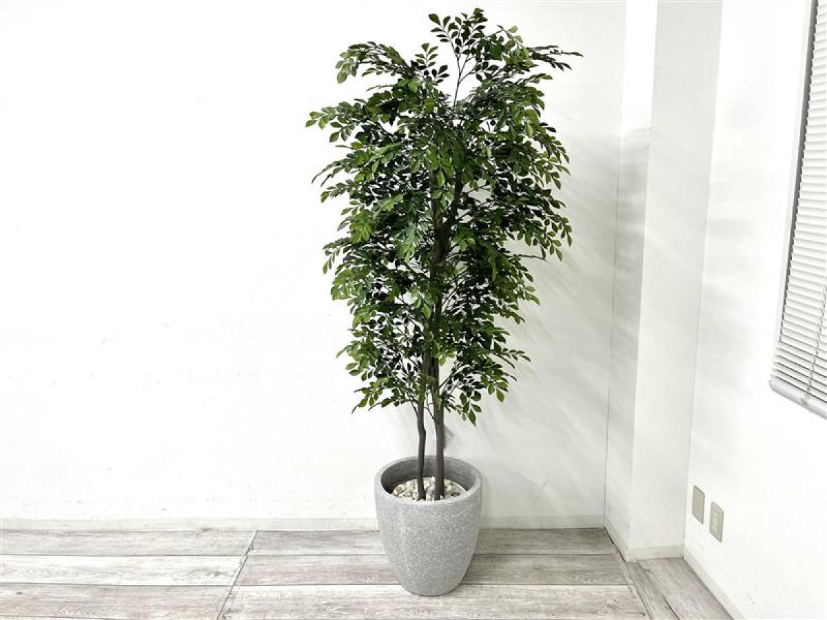 【エントランスや休憩室などにお勧め！彩あるオフィスを演出してくれる造花入荷！】■造花　■オフィスアクセサリー　■グリーン
                        その他シリーズ
                                    中古
            