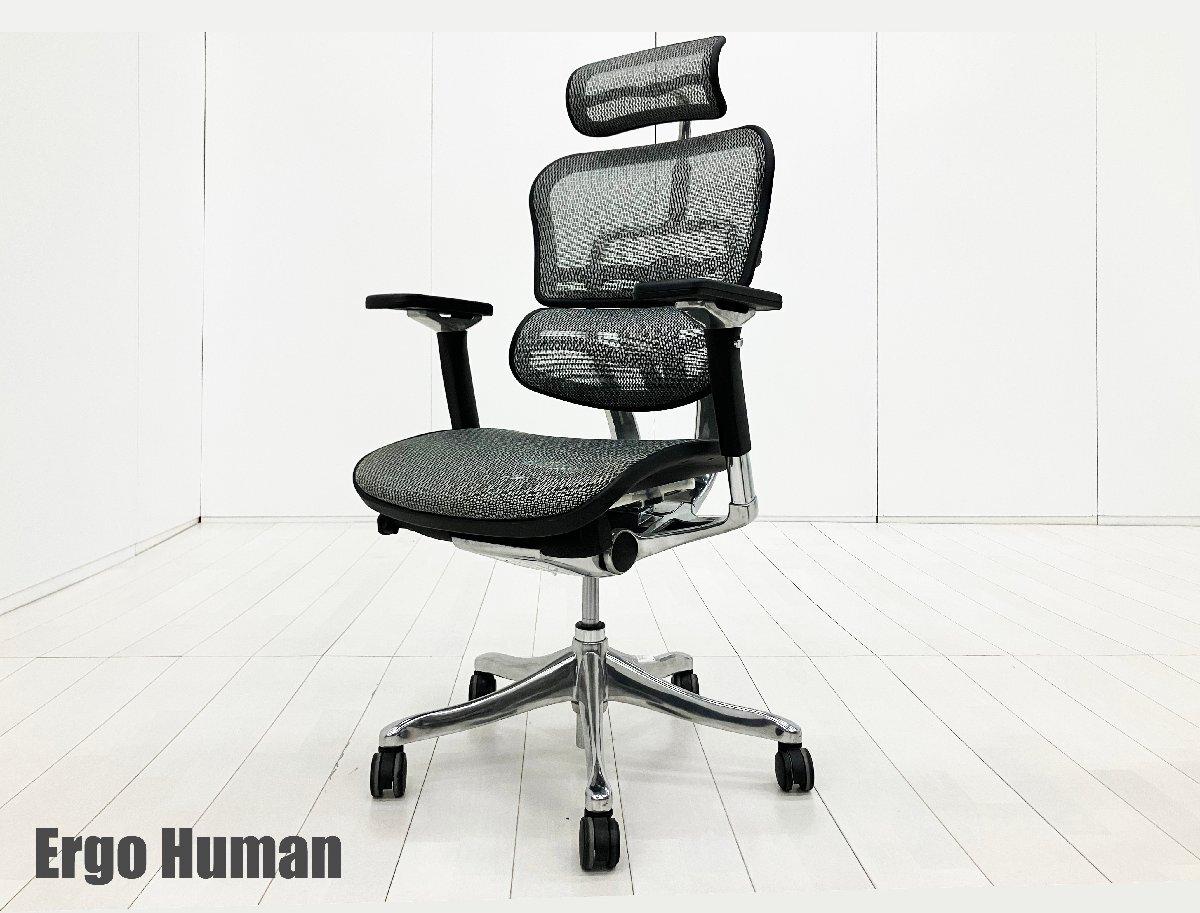 Ergohuman/ エルゴヒューマン■プロ■ヘッドレスト付■メッシュ ■グレー
                        プロ
                                    中古
            