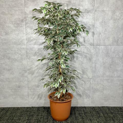 【中古】その他シリーズ  その他メーカー オフィス家具その他