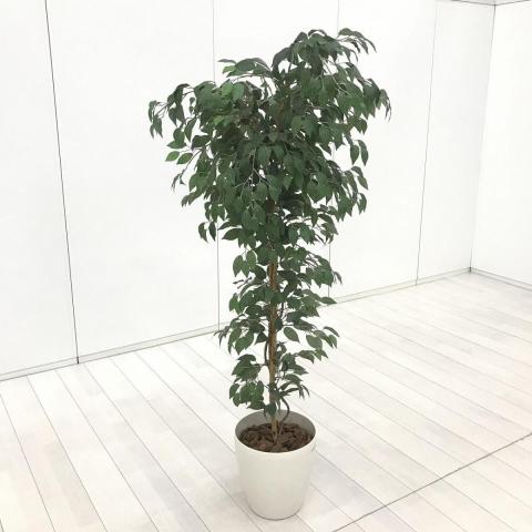 【中古】その他シリーズ  オカムラ（okamura） オフィスアクセサリーその他