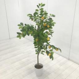 【水やり不要！いつでも美しいオフィスグリーン！リフレッシュスペースにオススメ！】■フェイクグリーン　丸型植木鉢　人工果実付（レモン風）　■オフィスに彩りとリラックス感を演出します！人工観葉植物　造花【ABW】A01083654