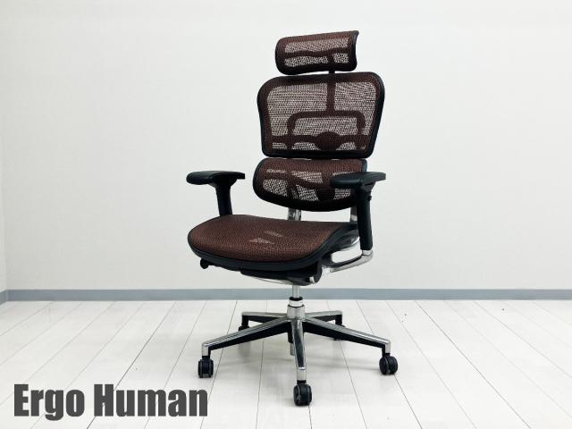 Ergohuman/ エルゴヒューマン ベーシック ヘッドレスト付 メッシュ オットマン付き エンジ系