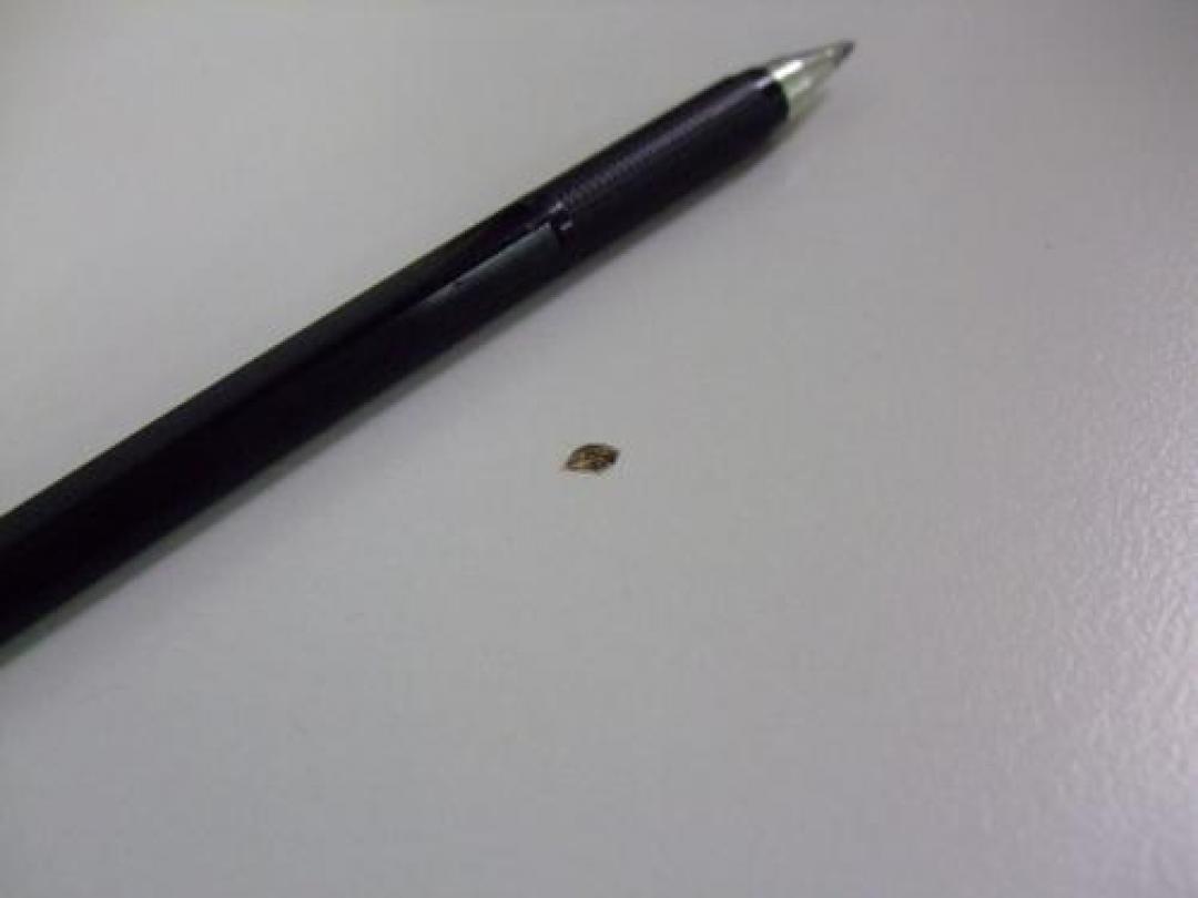 【内田洋行製】【訳有り品】【セール】<br>訳有りでお得なスタックテーブル！
                                    中古
            