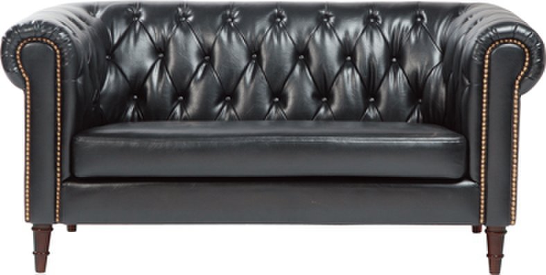 【新品】東谷　レトロでゴージャス！フェリーニ　2人掛ソファー
                        フェリーニ 
                                    新品
            