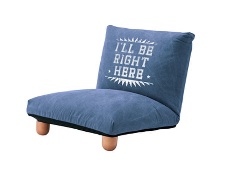 【新品】東谷　アメリカンカジュアルなローソファ　フロアソファ
                        その他シリーズ
                                    新品
            