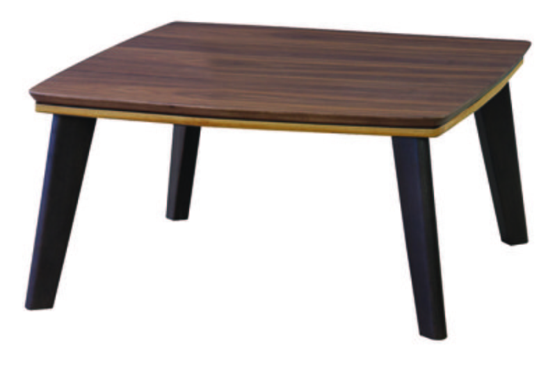 【新品】東谷　2トーンカラー！　コタツテーブル
                        その他シリーズ
                                    新品
            