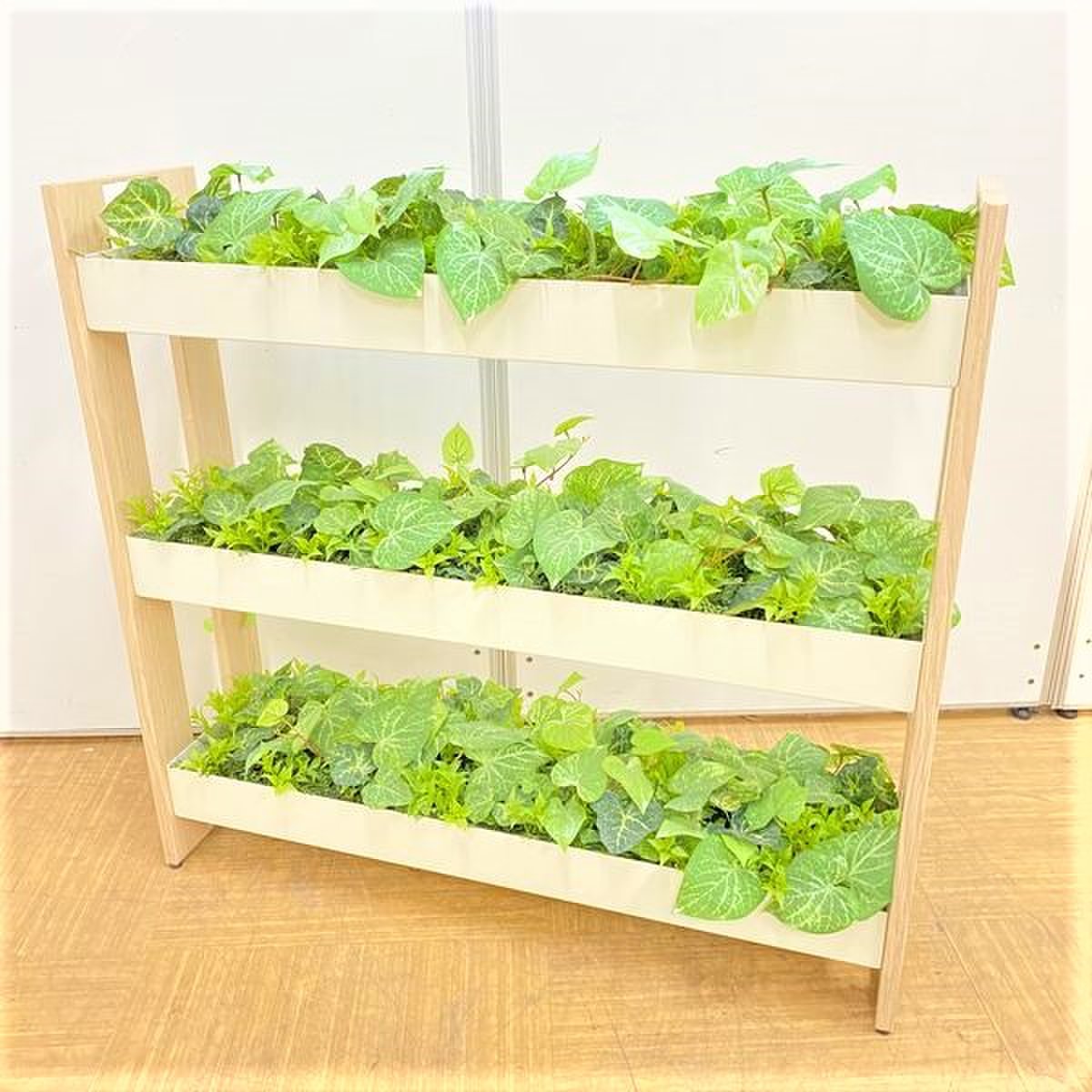 【レア商品】エントランスやリフレッシュルームにピッタリ！
                        その他シリーズ
                                    中古
            