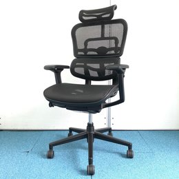 【待ちに待った待望の入荷！】関家具製エルゴヒューマンチェア【ベーシックタイプ】【ご自宅でもオフィスでも！】【テレワーク】
