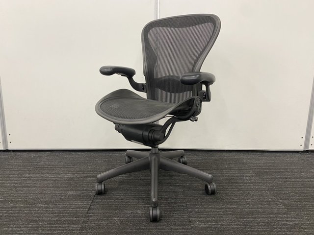 【前傾付き！人気のサイズ、タイプ！】アーロンチェア/ランバーサポート/Bタイプ/可動肘/フルタイプ