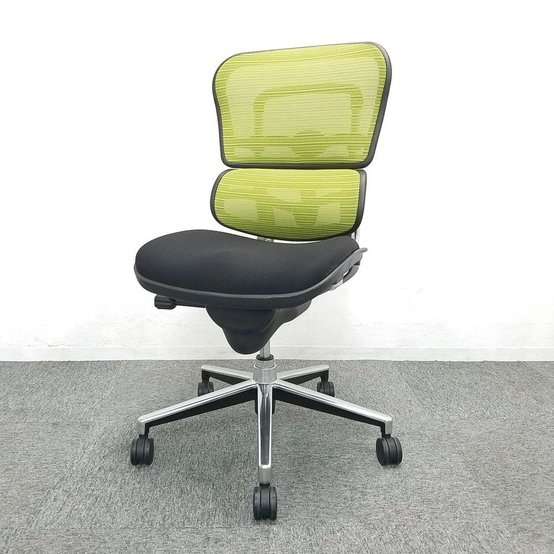 【中古】ベーシック   Ergohuman（エルゴヒューマン） 肘無ハイバックチェア