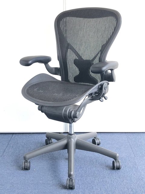 人気のアーロンが入荷！Bタイプ　ポスチャー　固定アーム　前傾・リクライニング機能レバー付き