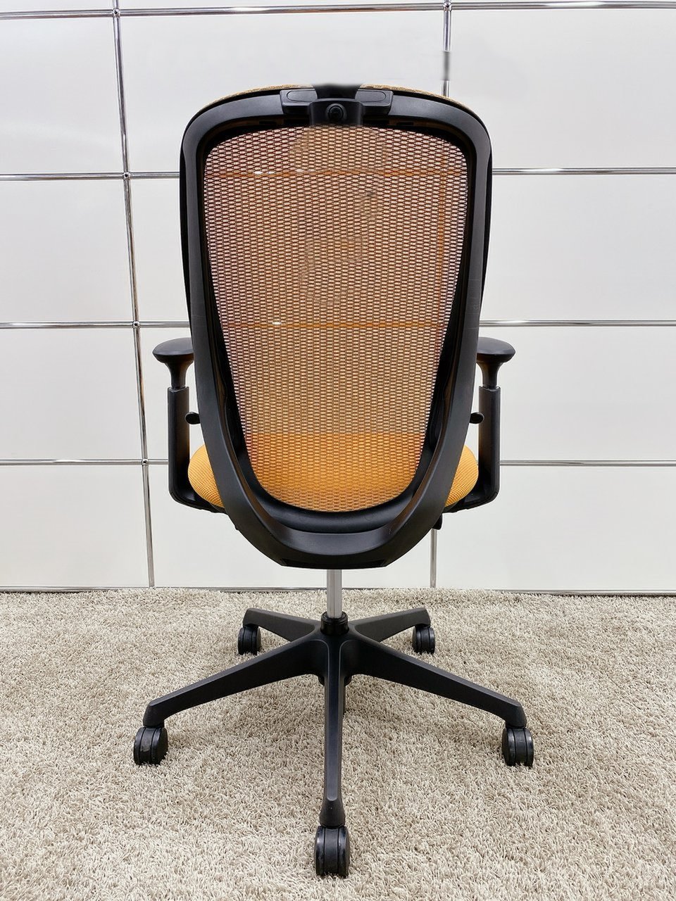 pppppp
                        なんだかんだワンダー
                                    中古
            