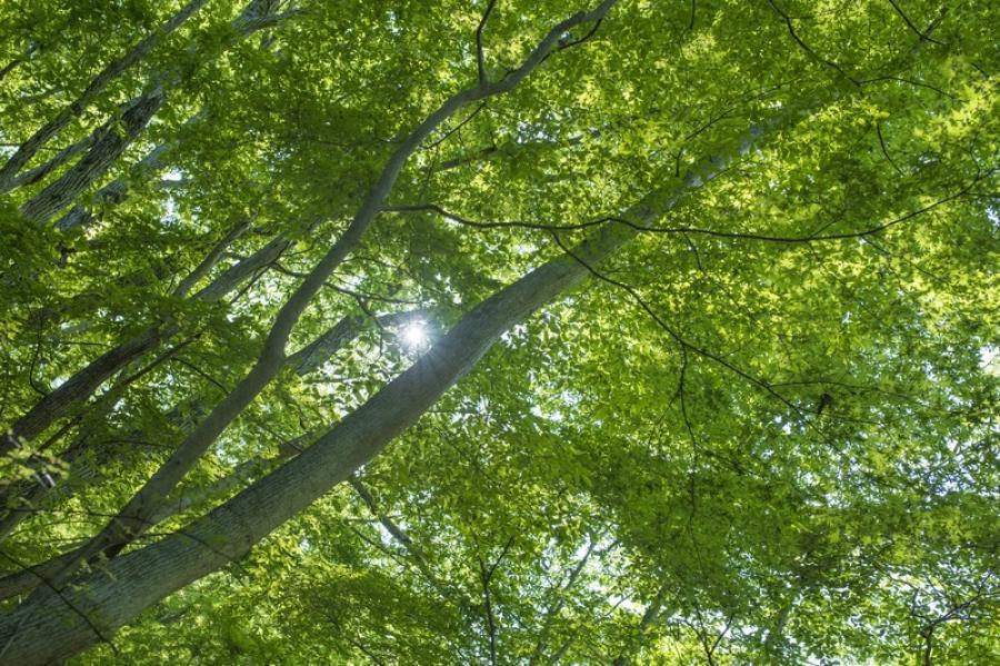 あああ
                        SX
                                    中古
            