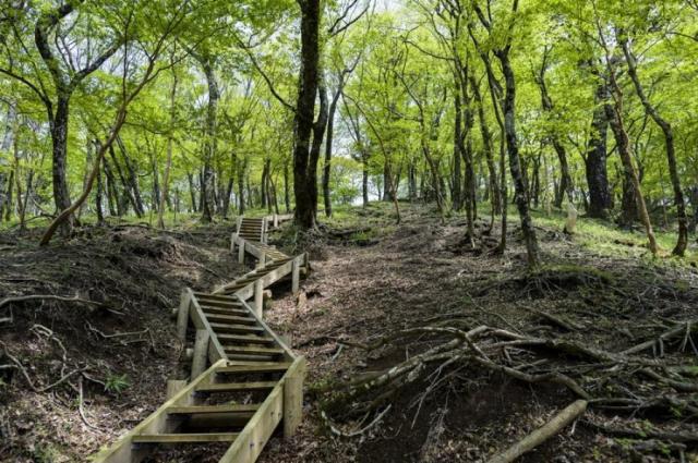 【中古】ウィザード  コクヨ（KOKUYO） 肘無ローバックチェア