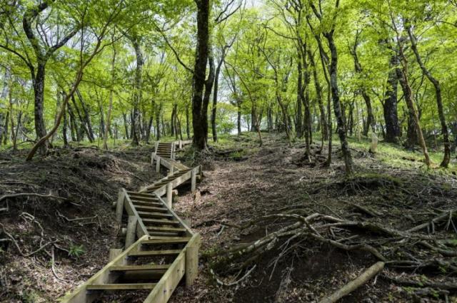 【中古】バロン  オカムラ（okamura） 肘無ローバックチェア