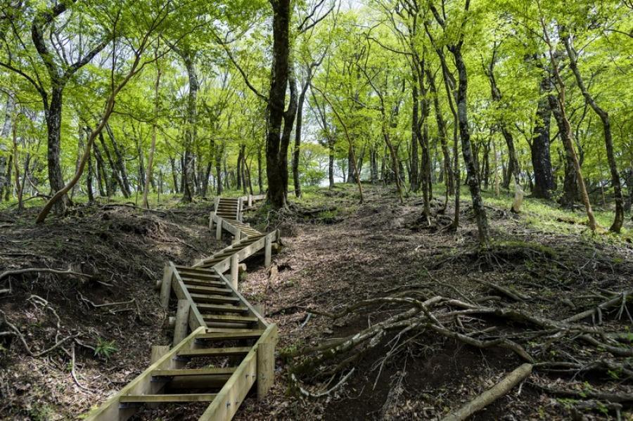 ててててて
                        バロン
                                    中古
            