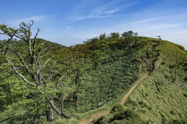 【中古】バロン  オカムラ（okamura） 肘無ローバックチェア