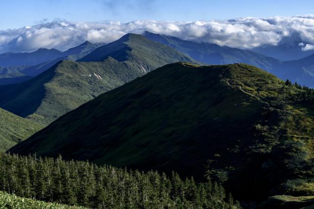 【中古】フィーゴ  オカムラ（okamura） 肘無ローバックチェア
