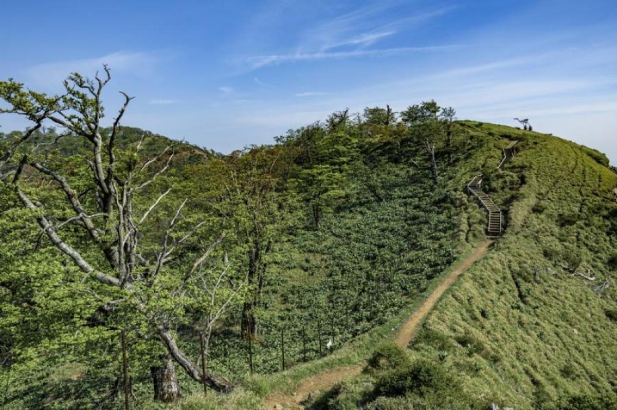 おお
                        カロッツァ
                                    中古
            