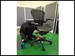 池袋店店内写真7